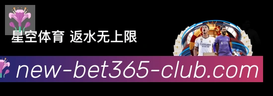 未来规划